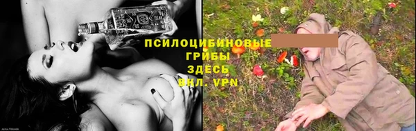 хмурый Инсар