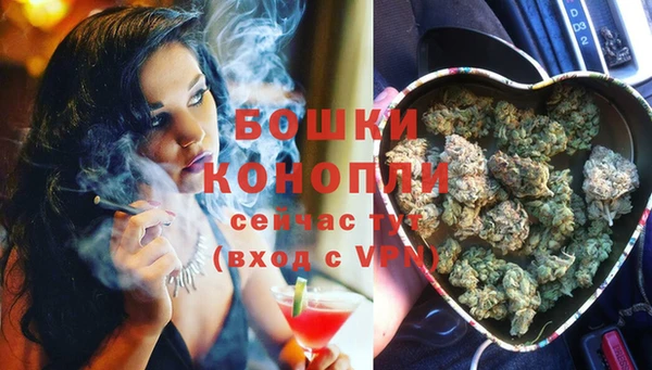 спайс Инта