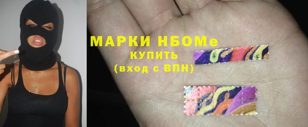 хмурый Инсар