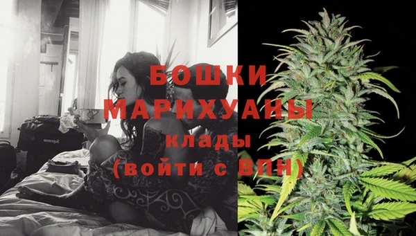хмурый Инсар