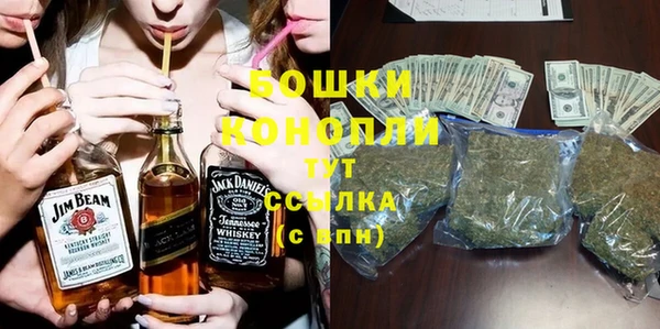 спайс Инта