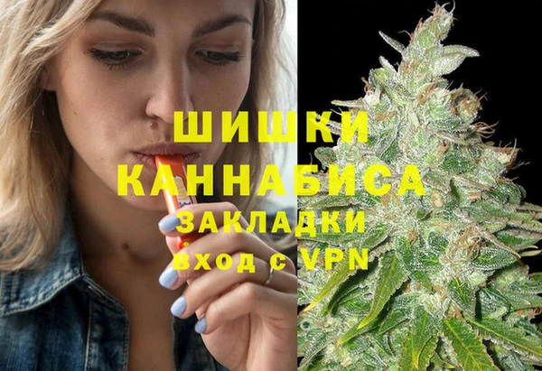 спайс Инта