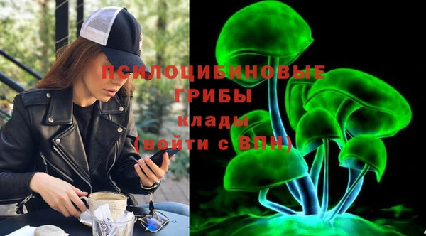спайс Инта