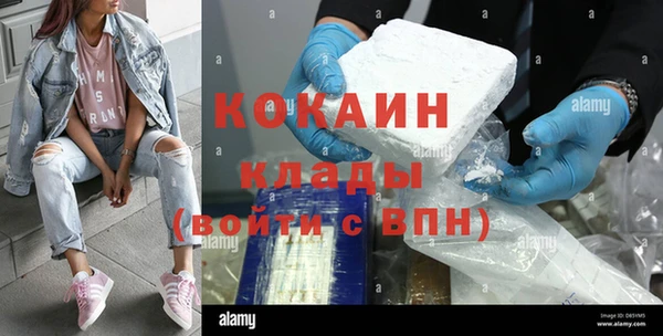 хмурый Инсар