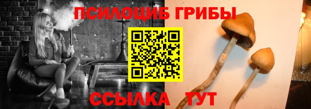 Псилоцибиновые грибы Psilocybine cubensis Усть-Илимск